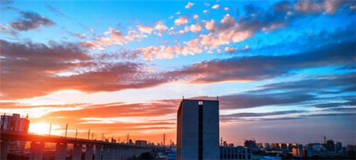 澳美琪烘焙蛋糕