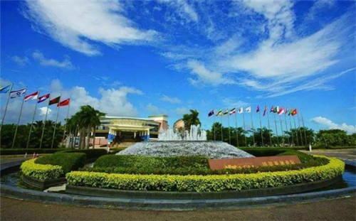 澳美徕澳门花胶鸡