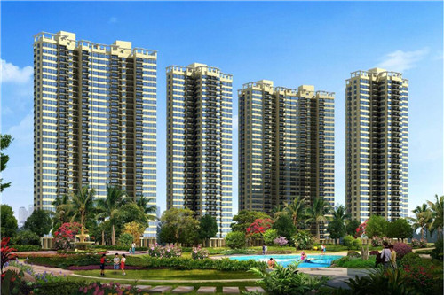 华莱健安化黑茶