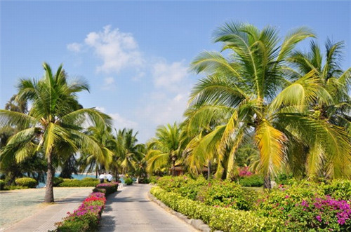 加盟丁先生奶茶值得吗