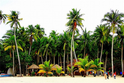 中山珍珠奶茶店怎么样啊，中山珍珠奶茶店怎么样啊好喝吗