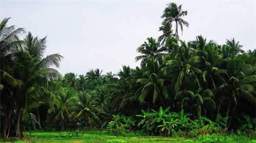深圳南站哪里好玩（深圳南站火车站在哪里）