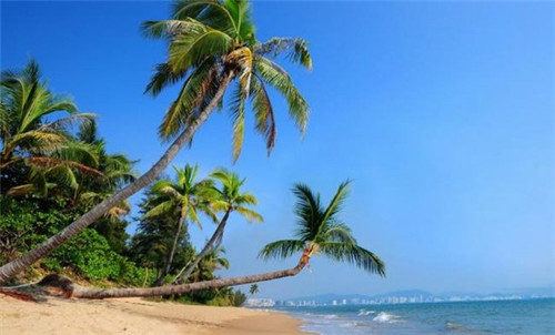 肥肠炒木耳洋葱怎么炒（肥肠和洋葱怎么做好吃）