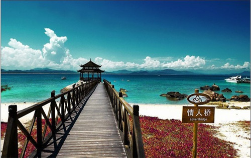 家用蒸锅招商加盟好项目推荐（家用蒸锅一般多少钱一个）